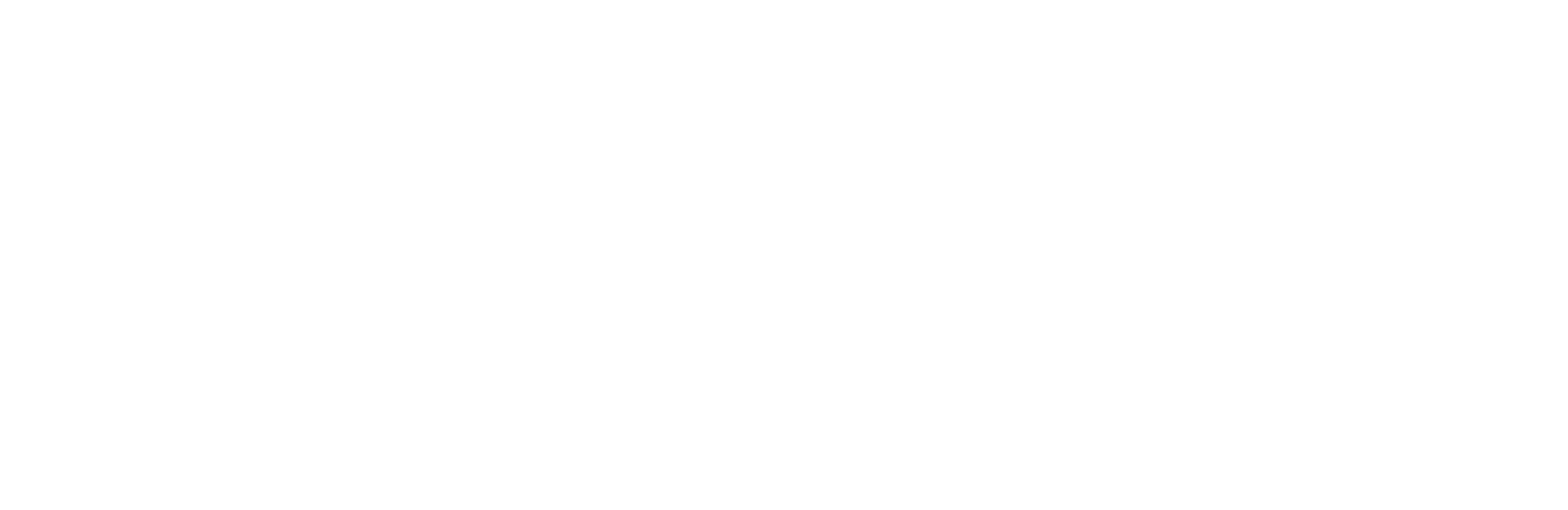 Géant Electronics